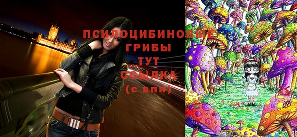 apvp Аркадак