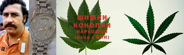 apvp Аркадак