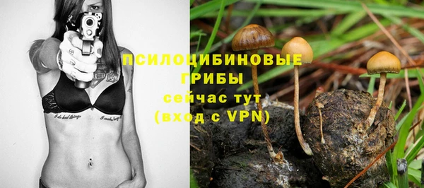 не бодяженный Армянск